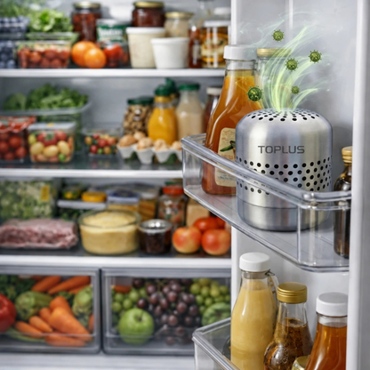 Fridge Purifier - Keep Food Fresher for Longer